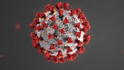Уровень антител G выше 160 может обеспечить надежной защитой от заражения коронавирусом - inforeactor.ru - Россия