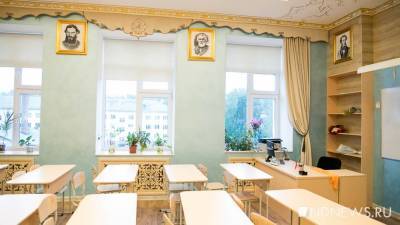 В Курганской области принято решение о работе школ после каникул: дети останутся дома - newdaynews.ru - Курганская обл.