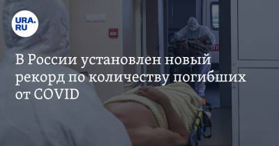 В России установлен новый рекорд по количеству погибших от COVID - ura.news - Россия