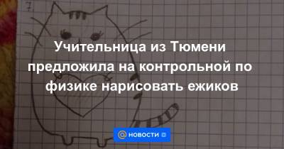 Учительница из Тюмени предложила на контрольной по физике нарисовать ежиков - news.mail.ru - Тюмень