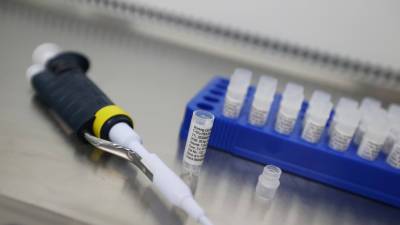 Александр Лукашенко - Белоруссия подготовила прототипный вариант собственной вакцины от COVID-19 - russian.rt.com - Белоруссия