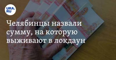 Челябинцы назвали сумму, на которую выживают в локдаун - ura.news - Россия - Челябинск
