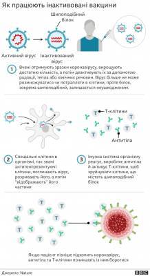 Коронавак (CoronaVac): что известно о вакцине, которой больше всего в Украине - for-ua.com - Україна