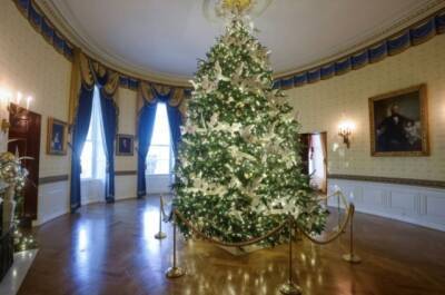 Мелания Трамп - Джилл Байден - Рождественская елка в Белом доме: чем отличаются праздничные традиции Джилл Байден от виденья Мелании Трамп (ФОТО) - enovosty.com