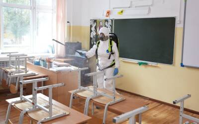 Новосибирскую школу №207 закроют на санобработку из-за COVID-19 и ОРВИ - runews24.ru - Новосибирск