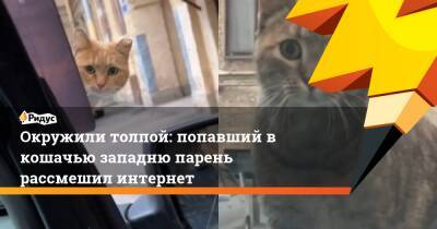 Окружили толпой: попавший в кошачью западню парень рассмешил интернет - ridus.ru
