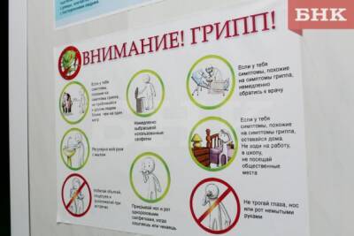 В девяти муниципалитетах Коми в школах и детсадах ввели карантин по гриппу - bnkomi.ru - республика Коми