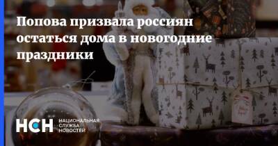 Анна Попова - Попова призвала россиян остаться дома в новогодние праздники - nsn.fm - Россия