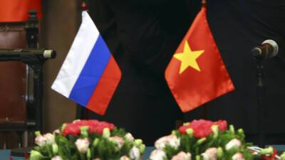 Владимир Путин - Россия и Вьетнам договорились создавать условия для взаимных поставок вакцин - russian.rt.com - Россия - Вьетнам