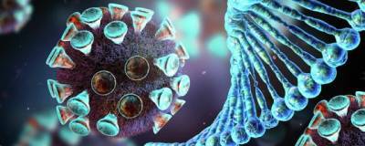 Ученые университета Северной Каролины и Дьюка выявили новые антитела против ковида - runews24.ru - штат Северная Каролина