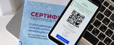 Авиакомпания «Победа» выступила против введения QR-кодов для покупки авиабилетов - runews24.ru