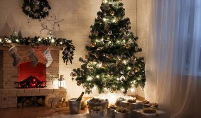 В Тюмени проведут аукцион на право торговать «рождественскими елками» - nashgorod.ru - Тюмень