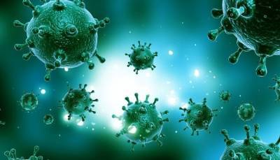 Не только COVID-19: Дания сообщила о вспышке высокопатогенного гриппа - ru.slovoidilo.ua - Украина - Дания