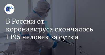 В России от коронавируса скончалось 1 195 человек за сутки - ura.news - Россия