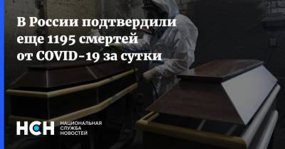 В России подтвердили еще 1195 смертей от COVID-19 за сутки - nsn.fm - Россия