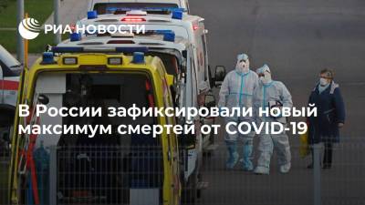 В России зафиксировали новый максимум смертей от COVID-19 - ria.ru - Россия - Санкт-Петербург - Москва - Московская обл.