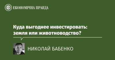 Куда выгоднее инвестировать: земля или животноводство? - epravda.com.ua - Украина