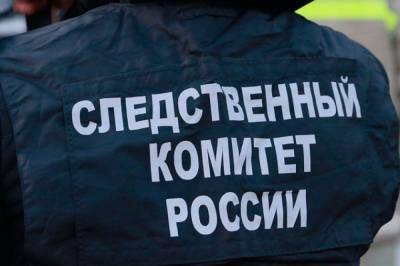 Возбуждено уголовное дело после стрельбы в Химках - aif.ru