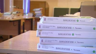 В Башкирии из-за коронавируса продлили школьные каникулы - bash.news - республика Башкирия