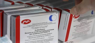 Минздрав Карелии разъяснил, где искать альтернативную вакцину от коронавируса - stolicaonego.ru - республика Карелия