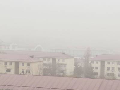 Дышите поверхностно или что думают узбекистанцы о пылевом апокалипсисе - podrobno.uz - Узбекистан - Ташкент