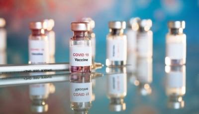 Получат ли украинцы отечественную вакцину от коронавируса? - ukrinform.ru - Украина - Польша