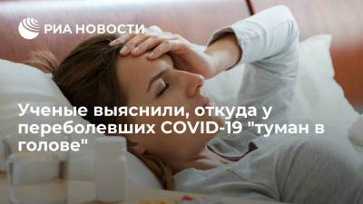 Американские ученые заявили, что COVID-19 напрямую поражает нейроны головного мозга - ria.ru - Москва - Сша - Канада - Лондон