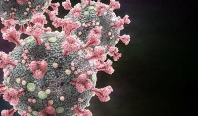 Ученые заявили, что коронавирус способен поражать внутренне ухо - newizv.ru - Россия