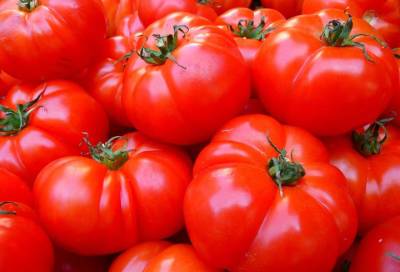 Наталья Круглова - Врач-диетолог Круглова посоветовала есть помидоры для укрепления иммунитета в сезон ОРВИ - online47.ru