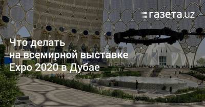 Что делать на всемирной выставке Expo 2020 в Дубае - gazeta.uz - Узбекистан - Эмираты