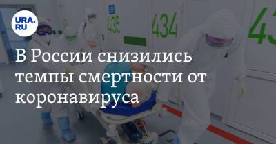 В России снизились темпы смертности от коронавируса - ura.news - Россия
