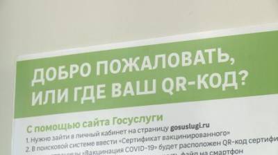 Главный документ: пензенцам посоветовали не забывать дома QR-код - penzainform.ru