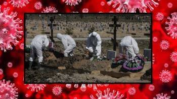 45 вологжан похоронят в закрытых гробах: именно столько жизней унес COVID-19 за неделю - vologda-poisk.ru - Вологодская обл.