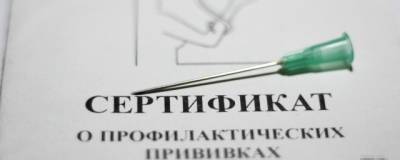 Россияне стали получать новые сертификаты о вакцинации - runews24.ru - Россия