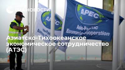 Азиатско-Тихоокеанское экономическое сотрудничество (АТЭС) - ria.ru
