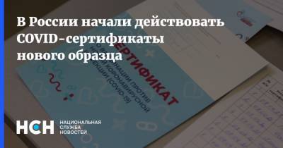 В России начали действовать COVID-сертификаты нового образца - nsn.fm - Россия