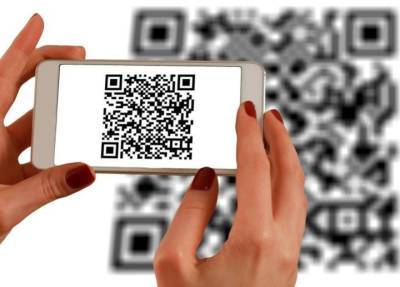 На портале Госуслуг массово аннулировали QR-коды о вакцинации от коронавируса - province.ru - Екатеринбург