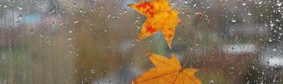 Погода в Запорожье – 8 ноября ожидается облачность и дождь - inform.zp.ua - Украина - Запорожье