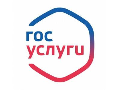 Россияне обрушили сайт госуслуг в день «обнуления» сроков действия ковид-сертификатов - rosbalt.ru