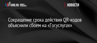 Сокращение срока действия QR-кодов объяснили техническими работами на «Госуслугах» - ivbg.ru - Россия - Украина