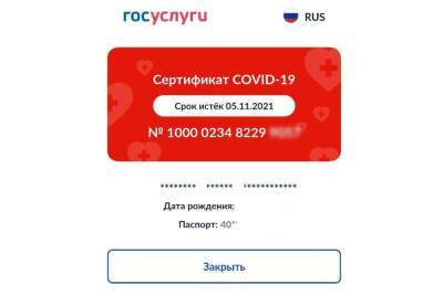Из-за сбоя на портале «Госуслуги» многие россияне остались без QR-кодов - abnews.ru