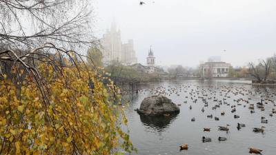 Вход в павильоны Московского зоопарка будет осуществляться по QR-кодам с 8 ноября - vm.ru