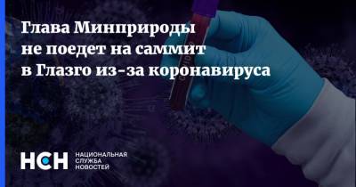 Александр Козлов - Глава Минприроды не поедет на саммит в Глазго из-за коронавируса - nsn.fm