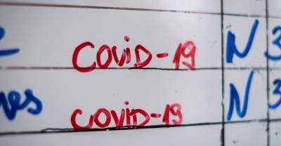 Подтверждено 423 новых случая Covid-19, скончались 16 пациентов - rus.delfi.lv - Латвия