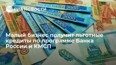 Малый бизнес получит льготные кредиты по программе Банка России и КМСП - ria.ru - Россия - Москва