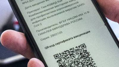 В Воронежской области вводится система QR-кодов для посещения общественных мест - russian.rt.com - Воронежская обл.