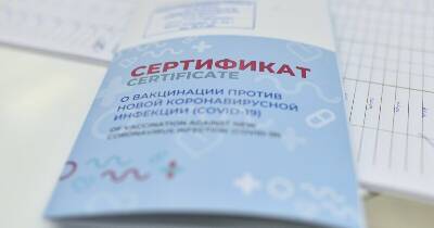 В России начали действовать COVID-сертификаты нового образца - rabochy-put.ru - Россия