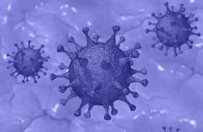 Наталья Пшеничная - В Роспотребнадзоре сообщили, что симптомы коронавируса чаще стали напоминать ОРВИ и грипп - bash.news