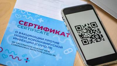 Жители Новосибирска раскритиковали введение QR-кодов с 12 ноября при посещении общепита - runews24.ru - Новосибирск - Новосибирская обл.