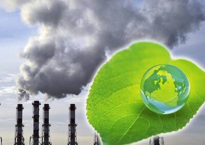Greenpeace: Россия принимает ложные решения на пути развития зеленой экономики - mskgazeta.ru - Россия